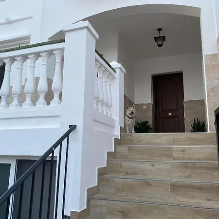 Jara 25